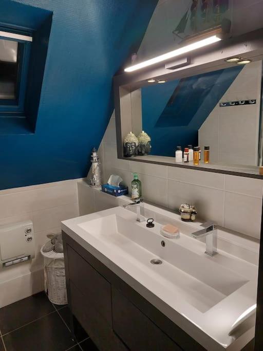 Bel Appartement 50 M2 Aux Portes De Strasbourg De 1 A 5 Personnes Chez Particuliers Avec 2 Sdb Coin Cuisine-Repas Et Kitchinette Prix Negociable Pour 1 Personne Vendenheim Zewnętrze zdjęcie